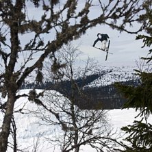 h&ouml;g mute. Foto: Magnus Karlsson. &Aring;kare: Erik Andersson.