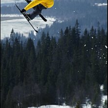 Freeride 2006. Foto: Johan Schedin. &Aring;kare: Pk hunder?.