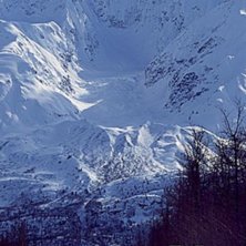 fan va nice, s&aring;rskilt namnet =). Foto: ingen aning.