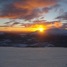 Morgonstund.... Foto: Mikael H&ouml;glund.