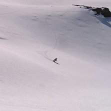 Foto: short dutch. &Aring;kare: arvid larsson.
