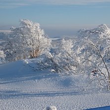 Vinter.... Foto: Andreas Iggman.