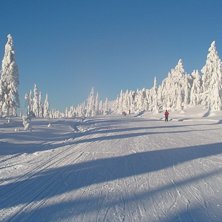 Voici pourquoi j&amp;#039;aime le ski!!!!. Foto: Michel Salomonsson. &Aring;kare: Michel salomonsson.