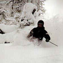 Foto: Anders Abelmann. &Aring;kare: Johan Sj&ouml;berg.