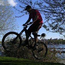 jadu vi tog en tur p&aring; hojen och ja det blev en bi. Foto: adam. &Aring;kare: wolwerin.