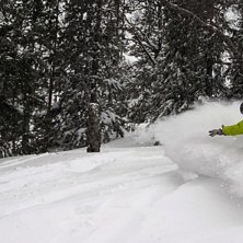 Mats &aring;ker lite i skogen i Duved efter en rej&auml;l p. Foto: Viktor Bjurlid. &Aring;kare: Mats Domarg&aring;rd.