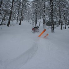 Foto: Bj&ouml;rn Gannsj&ouml;. &Aring;kare: Buski.