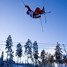 Foto: Andreas Timf&auml;lt / SwedenProPhoto.