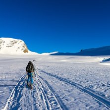 P&aring; v&auml;g upp fr&aring;n Hollandiahytte. Foto: Erik Fr&ouml;jdh.