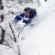 Bj&ouml;rnf&auml;llan i Kittel. Foto: Johan Wiklund. &Aring;kare: Rickard Ivarsson.
