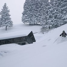 Foto: Stefan Karlberg. &Aring;kare: Emil Bj&ouml;rk.