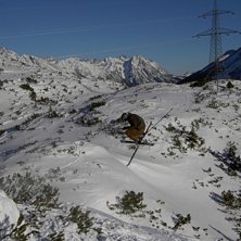 Foto: David Hammarstr&ouml;m. &Aring;kare: Filip Alexandersson.