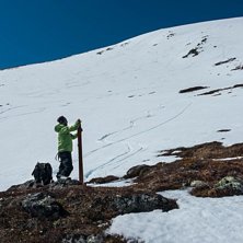 15 maj p&aring; Elg&aring;hognas &ouml;stsida. . Foto:  Erik Kilstr&ouml;m.