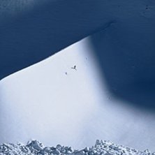 Geoff Morris aktar sig f&ouml;r lavinen i St Anton . Foto: Fredrik Schenholm. &Aring;kare: Geoff Morris.