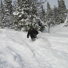 Foto: Kristin Nilsson. &Aring;kare: beng-ha.