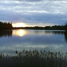 en sommarkv&auml;ll i &Ouml;sterg&ouml;tland. Foto: Robin Eriksson.