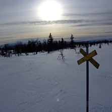 Foto: Niclas Jiseborn.