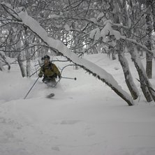 Foto: Janne Holmgren. &Aring;kare: Erik Holmgren.