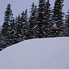 Shifty!. Foto: Anna. &Aring;kare: Jag.