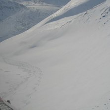 Fin repa i Abiskoalperna.. Foto: Puder Luder Nr1. &Aring;kare: Fyra.