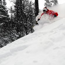 Helgens dump resulterade i fin skogs&aring;kning!. Foto: Erik Hammarsten. &Aring;kare: Robban Axberg.