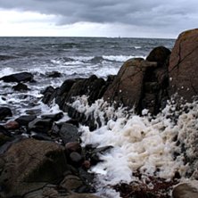 Varberg en (varm?) sommardag i mitten av juli. Foto: Sofia Holmstr&ouml;m.