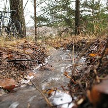 Foto: Alexander Fagerstr&ouml;m. &Aring;kare: Ingen.