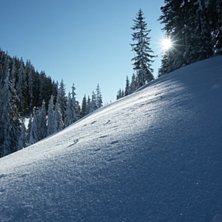 Foto: Martin Weinert. &Aring;kare: Martin Weinert.