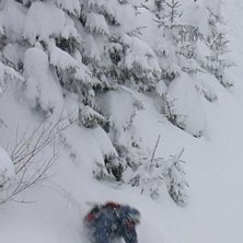 Sn&ouml;. Foto: E.Gyllander. &Aring;kare: Heda.