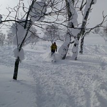 En av de f&aring; dagarna med sol - resten tok-sn&ouml;ade . Foto: Anna Lingvall. &Aring;kare: Magnus Lingvall.