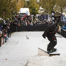 Winter Show i Kungstr&auml;dg&aring;rden 2014.. Foto: Hedda Berander.