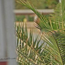 Tog med kameran till Spanien f&ouml;r n&aring;gra m&aring;nader . Foto: Max Larsson (Jag).