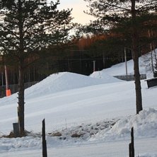 nya hoppet i bj&auml;sta . Foto: markus nordlund.