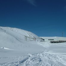 Nysn&ouml;at och g&ocirc;tt.... Foto: Pierre Jarnbrink.