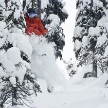 Hittade lite fina skogs&aring;k efter nattens nysn&ouml;. Foto: Per Nyberg. &Aring;kare: Karl &amp;quot;Karln&amp;quot; Norling.