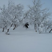 halvmeter l&ouml;ssn&ouml;. Foto: Magnus Ekblad. &Aring;kare: Martin Danielsson.