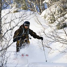 Sk&ouml;nt puder i &Aring;re efter ett ruskigt bra sn&ouml;ov&auml;. Foto: Ola Rockberg. &Aring;kare: Erika Edling.