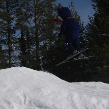 Loffe var tvungen att b&ouml;rja hoppa n&aring;n g&aring;ng. Foto: Marcus Hedman. &Aring;kare: John Johnsson.