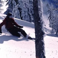 Foto: Andreas Engstr&ouml;m. &Aring;kare: Johan Edstr&ouml;m.