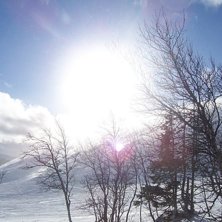 Foto: Malin Qvarfordt.