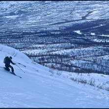 Nerf&ouml;r Noulja med.. Foto: Tomas Ahlberg. &Aring;kare: Josef K&auml;llg&aring;rden.