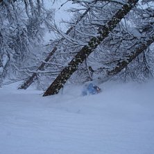 Foto: David Hjulfors. &Aring;kare: Adam SureFoot.