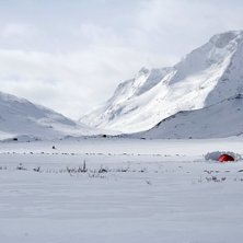 Foto: Robert Moskowitz.