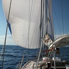 Foto: Leo Ekbom. &Aring;kare: Seglar S/Y Tilda med 100kv spinnacker.
