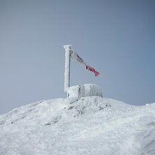 Foto: Viktor Sundvall.
