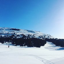 Sol, sn&oslash; og vindstille ????????
.