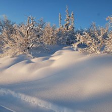 Snow makes me happy!. Foto: Tor Erik Westvik.