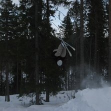 Fram&aring;tvolt. Foto: Bro. &Aring;kare: Jag.