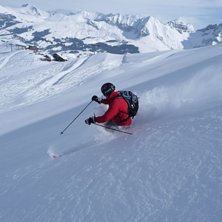 Wigga telemarkar.... Foto: Bengt Eriksson. &Aring;kare: Peo Hamrin.