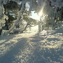 Tegefj&auml;ll kl. 09 -25 grader. Foto: Barbie. &Aring;kare: Barbie.